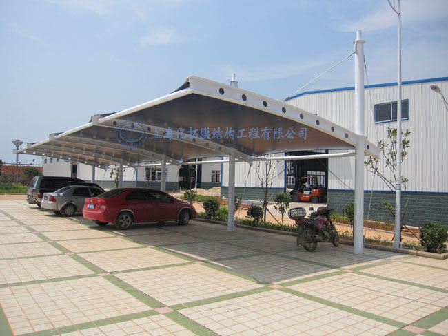 ����ľҵ����Ĥ�ṹ����