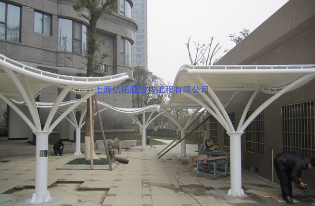 ������������Ĥ�ṹ�綯����