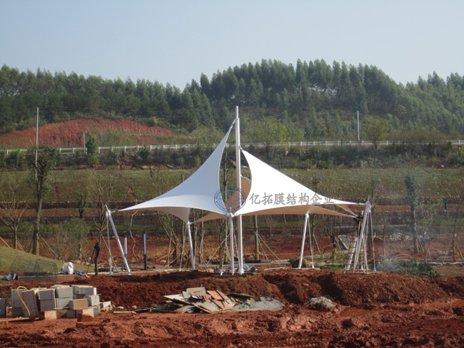 ������������Ĥ�ṹ����