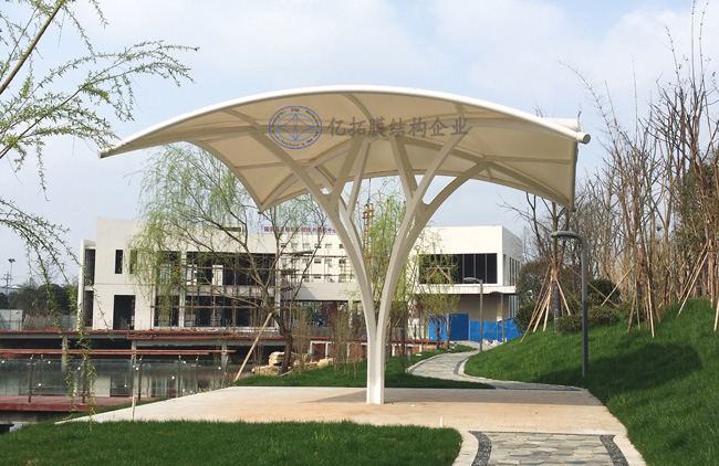 �پ���԰����Ĥ�ṹ������