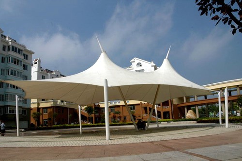 ���ͽ�������ptfeĤ�ṹ����