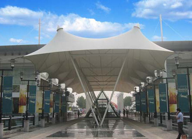 ��ҵ��ʩĤ�ṹ