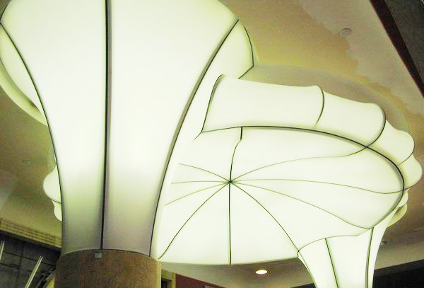 ����Ĥ�ṹ