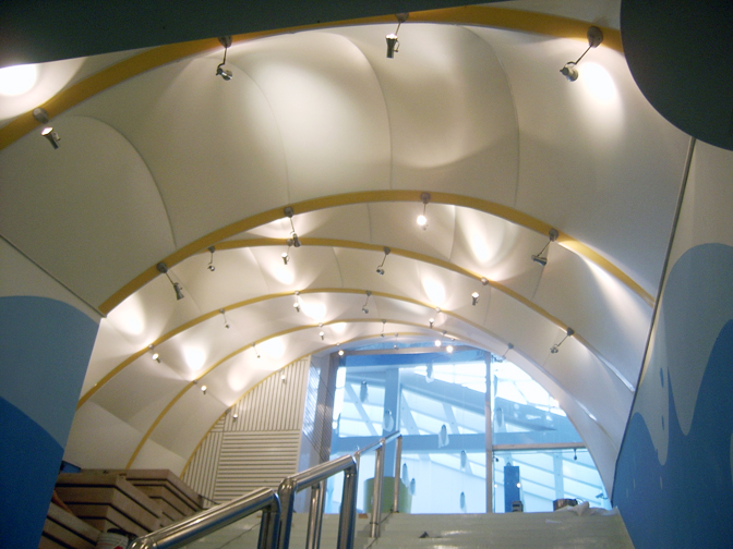 ����Ĥ�ṹ