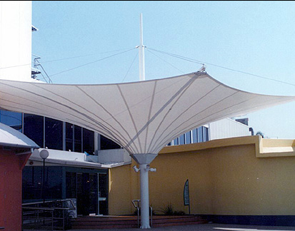 ��������ɡ